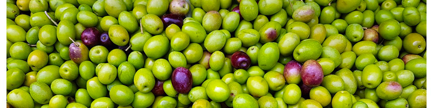 contenitore inox olio
