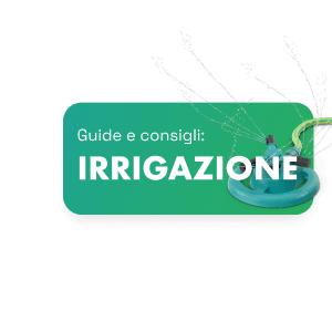 Irrigazione - guide e consigli su Parlane a Quattrocchi